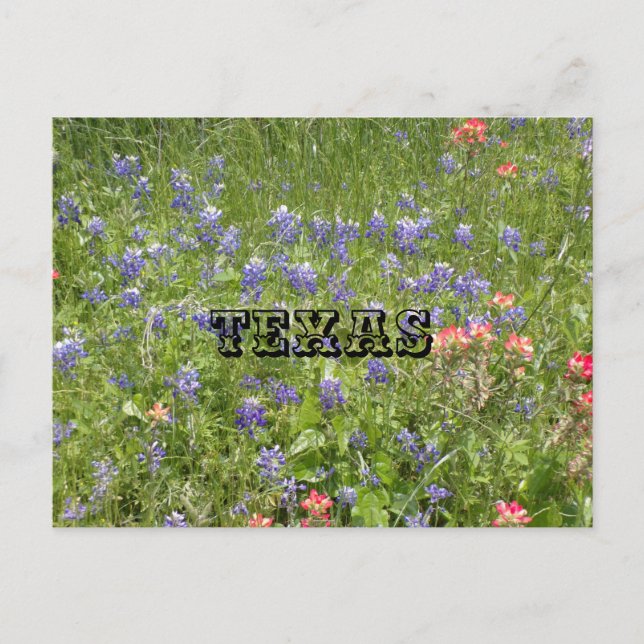 Cartão Postal do TEXAS (Frente)