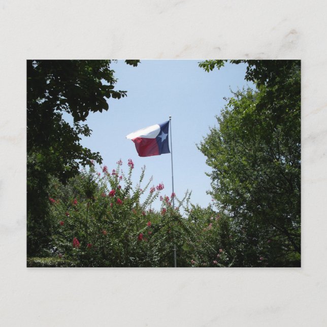 Cartão postal do Texas Flag (Frente)