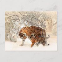cartão postal do tigre e do bebê