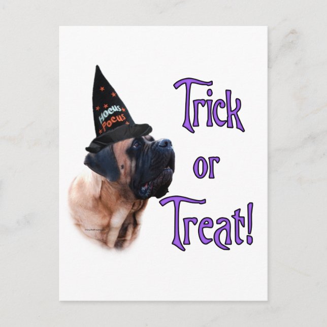 Cartão Postal do Truque do Mastim Albaricoque (Frente)
