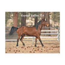 Cartão postal do Vale do Garner