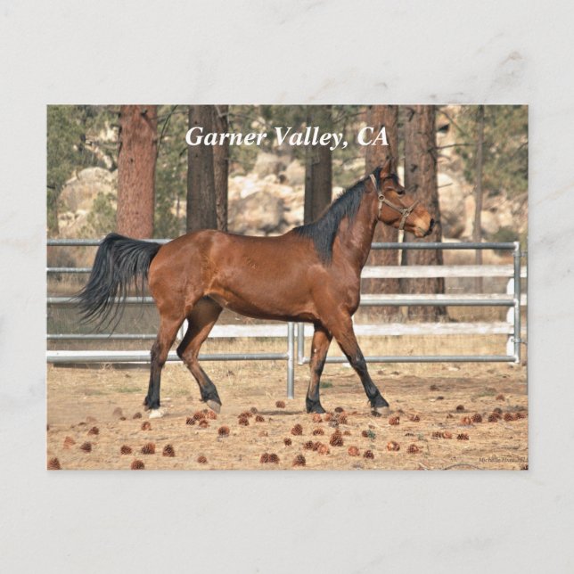 Cartão postal do Vale do Garner (Frente)