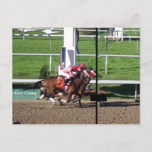 Cartão Postal do Vencedor Por Uma Narina