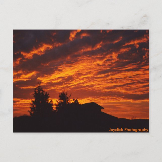 Cartão postal do Winter Sunrise (Frente)