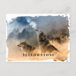 Cartão postal do Wolf Yellowstone
