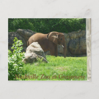 Cartão postal do Zoo Nashville