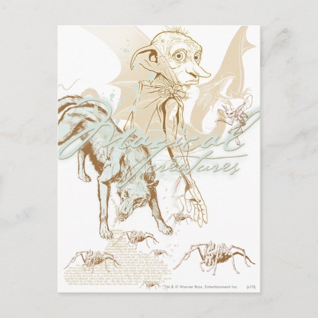 Cartão Postal Dobby (Frente)