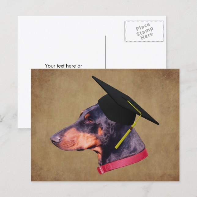 Cartão Postal Doberman Com Capelo De Formatura Cachorro Engraçad (Frente/Verso)