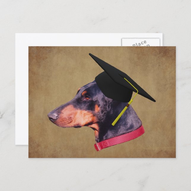 Cartão Postal Doberman In Graduation Cap Funny Dog Personalized (Frente/Verso)