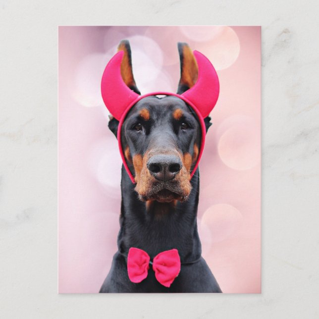 Cartão Postal Doberman no Diabo Costume (Frente)