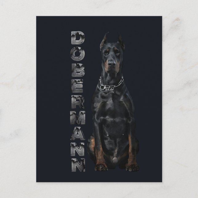 Cartão Postal Doberman Pinscher (Frente)
