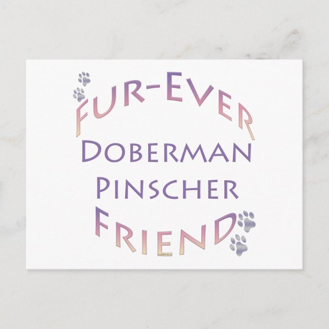 Cartão Postal Doberman Pinscher Fuservidor (Frente)