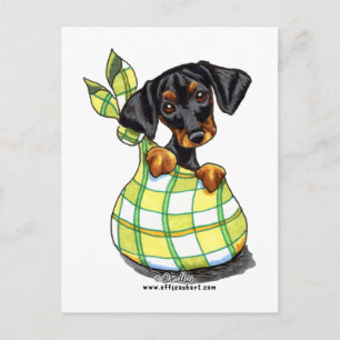 Cartão Postal Doberman Pinscher Sack Puppy