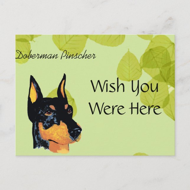 Cartão Postal Doberman Pinscher ~ Verde Deixa Design (Frente)