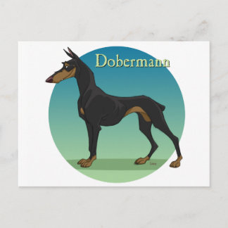 Cartão Postal dobermann