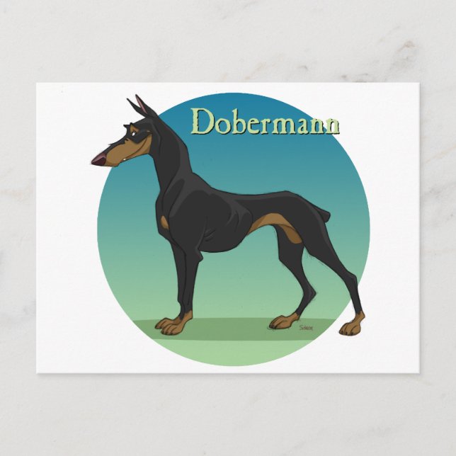 Cartão Postal dobermann (Frente)