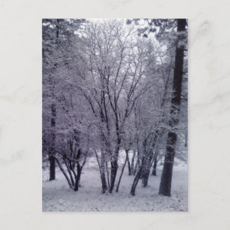 Cartão Postal Dobra