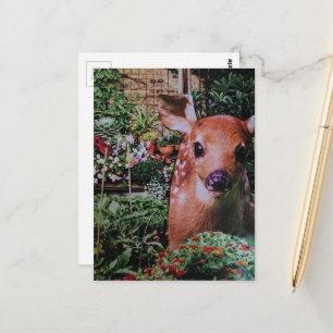 Cartão Postal Doce Fawn Fofo no Jardim Colagem