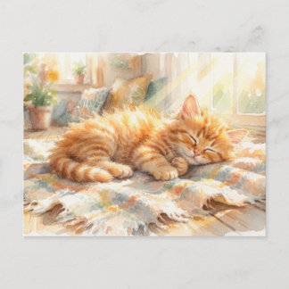 Cartão Postal Doce gatinho tomando sol