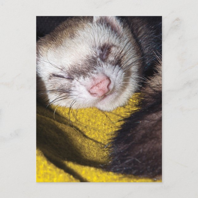 Cartão Postal Doces Sonhos (Frente)