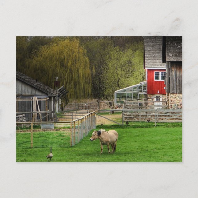 Cartão Postal Dodge Nature Center (Frente)