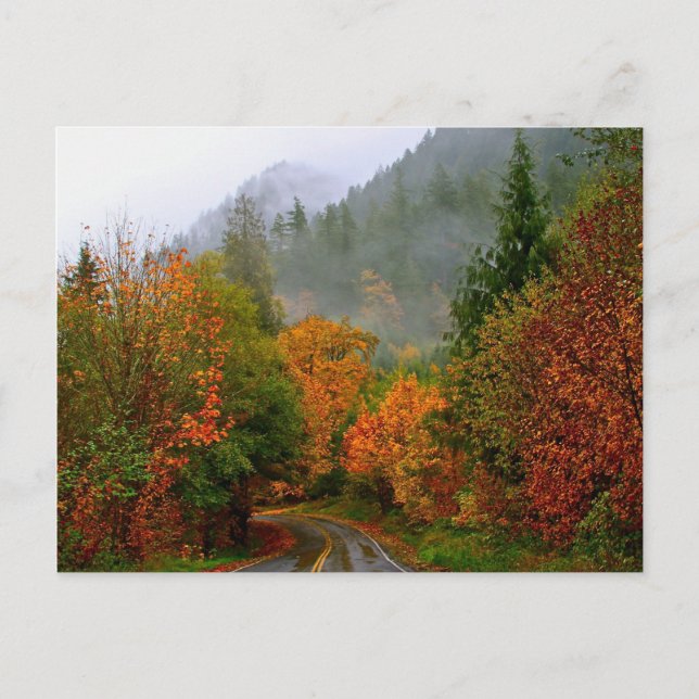 Cartão Postal Dodge Road Postcard (Frente)