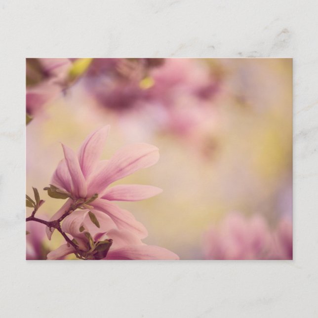 Cartão Postal Doenças do (Frente)