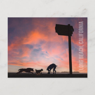 Cartão Postal Dog Beach em Sunset - Long Beach, Califórnia