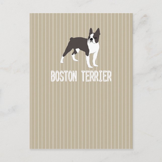 Cartão Postal dog-Boston Terrier (Frente)
