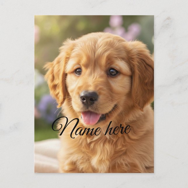 Cartão Postal Dog cat pet name photo template simple minimal  (Frente)
