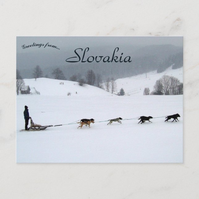 Cartão Postal Dog Sled Team in Winter in Slovakia (Frente)