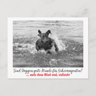 Cartão Postal Dogge: der Hund für Geheimagenten