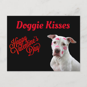 Cartão Postal Doggie Kisses