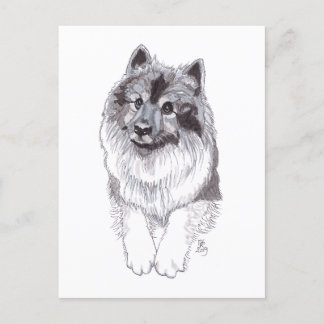 Cartão postal Doggust 2019 Keeshond