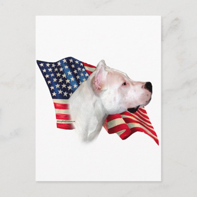 Cartão Postal Dogo Argentino Flag (Frente)