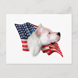 Cartão Postal Dogo Argentino Flag