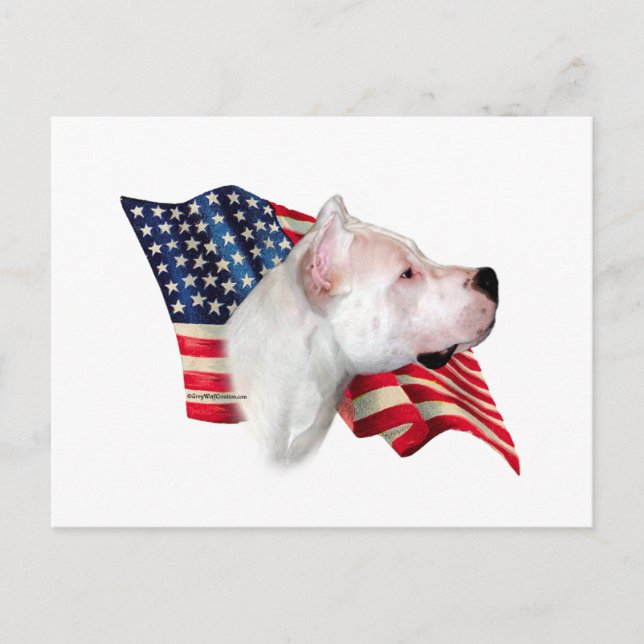 Cartão Postal Dogo Argentino Flag (Frente)