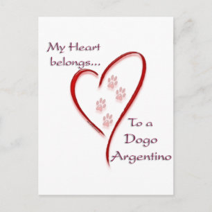 Cartão Postal Dogo Argentino Heart Pertence