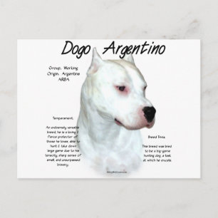 Cartão Postal Dogo Argentino History Design