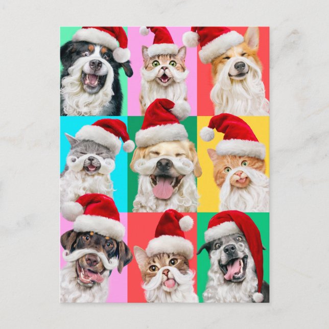 Cartão Postal Dogs and Cats with Santa Beard (Frente)