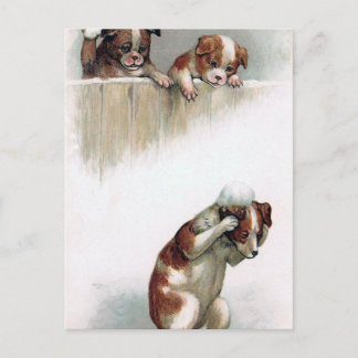 Cartão Postal "Dogs playing Snowballs" Vintage