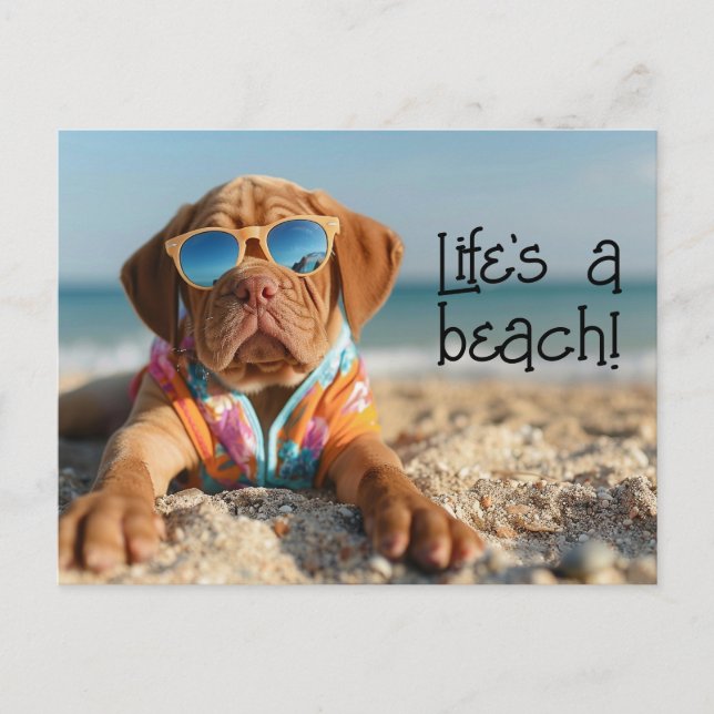 Cartão Postal Dogue de Bordeaux Puppy vestindo óculos escuros (Frente)