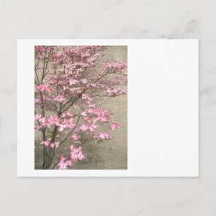 Cartão Postal Dogwood Flor