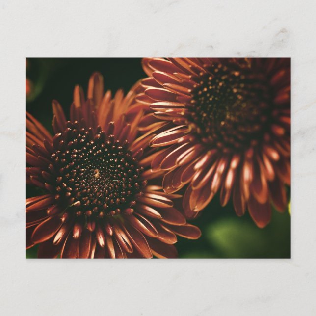 Cartão Postal Dois (Frente)