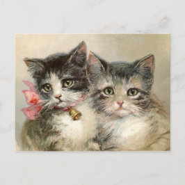 Cartão Postal Dois adoráveis gatinhos vitorianos.