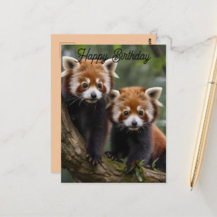 Cartão Postal Dois Bebês Pandas Vermelhas, Cartão-postal de Aniv