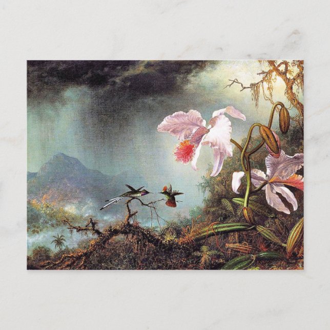 Cartão Postal Dois beija-flores, famosa pintura (Frente)