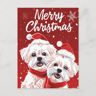 Cartão Postal Dois Bichon Frise Feliz Natal