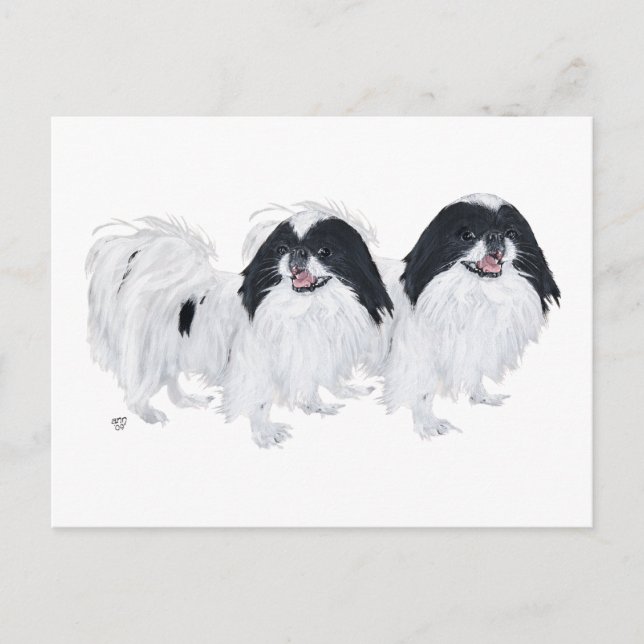 Cartão Postal Dois Cães Japoneses Chin (Frente)