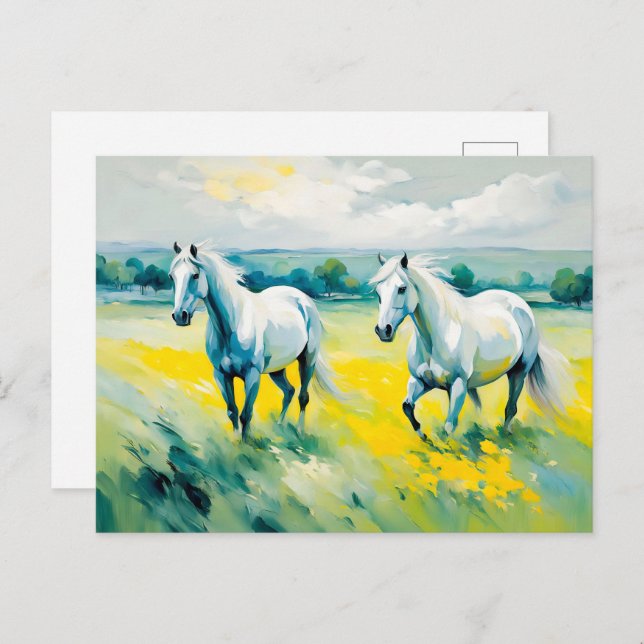 Cartão Postal Dois Cavalos Brancos Atravessando Flores Amarelas (Frente/Verso)